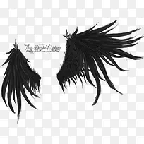 翎羽-空若网 翎羽-空若网