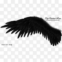 ����-������