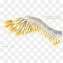 翎羽-空若网 翎羽-空若网