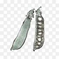 手绘豌豆荚-空若网 手绘豌豆荚-空若网