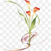 手绘马蹄莲素材-空若网 手绘马蹄莲素材-空若网