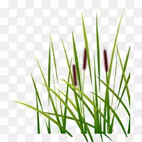 计算机图标摄影.草坪-空若网 计算机图标摄影.草坪-空若网