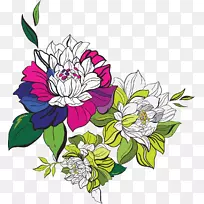 牡丹-空若网 牡丹-空若网