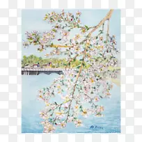 èÄñË®²Ê»Ó£»¨º£±¨-Ó£»¨Ë®²Ê»-¿ÕÈôÍø èÄñË®²Ê»Ó£»¨º£±¨-Ó£»¨Ë®²Ê»-¿ÕÈôÍø