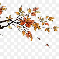 ��֦-������