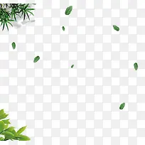 ��ɫ��֦��Ҷ-������