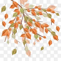 树枝上的落叶-空若网 树枝上的落叶-空若网