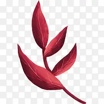 树枝 嫩芽-空若网 树枝 嫩芽-空若网