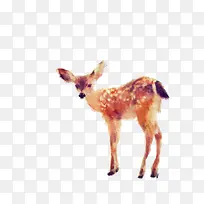 �ֻ�÷��¹-������