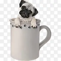 ���ڱ��������Ƥ��-������