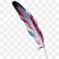 �ֻ�����ë-������