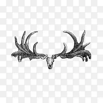 卡通手绘山羊头-空若网 卡通手绘山羊头-空若网