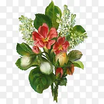 �ֻ滨��ͼƬ�ֻ滨��ͼ�� ��ͨ-������