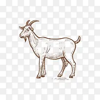 手绘风格山羊-空若网 手绘风格山羊-空若网