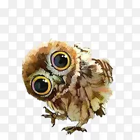 卡通布偶粉色 卡通猫头鹰-空若网 卡通布偶粉色 卡通猫头鹰-空若网