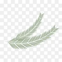 ��ҶҶ�ӿ�ͨʸ���ز�-������