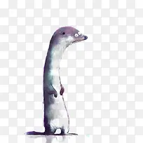 黄鼠狼-空若网 黄鼠狼-空若网