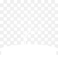 白色树-空若网 白色树-空若网