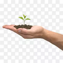 ֲ���ּ���ǣ��-������