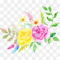 水彩花卉优雅-空若网 水彩花卉优雅-空若网