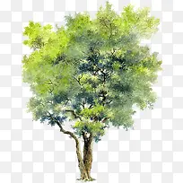手绘黄绿色植物大树-空若网 手绘黄绿色植物大树-空若网