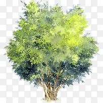 手绘夏季黄绿色大树-空若网 手绘夏季黄绿色大树-空若网