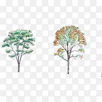 黄绿色公园手绘大树-空若网 黄绿色公园手绘大树-空若网