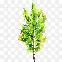 手绘黄绿色夏季大树-空若网 手绘黄绿色夏季大树-空若网