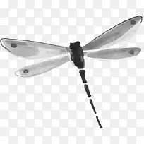 水墨蜻蜓-空若网 水墨蜻蜓-空若网