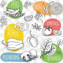 食物矢量图-空若网 食物矢量图-空若网