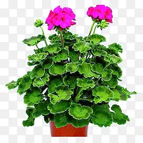 ÇýÎòÝÅèÔÔ-¿ÕÈôÍø ÇýÎòÝÅèÔÔ-¿ÕÈôÍø