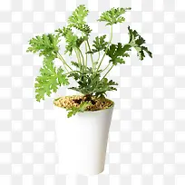 ÇýÎòÝÅèÔÔ-¿ÕÈôÍø ÇýÎòÝÅèÔÔ-¿ÕÈôÍø