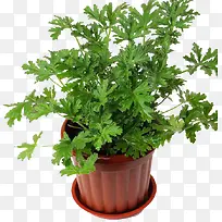 ���ò�����-������