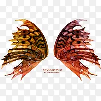 羽毛翅膀素材翅膀素材-空若网 羽毛翅膀素材翅膀素材-空若网