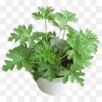 ���ò�����-������