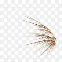 �ֻ����� -������