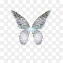 翅膀图片 卡通梦幻蝴蝶-空若网 翅膀图片 卡通梦幻蝴蝶-空若网