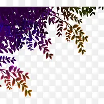 ��ɫҶ��-������