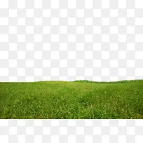 ���̵�С��-������