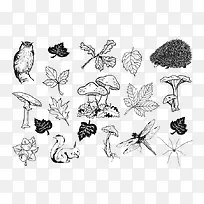 手绘自然秋季-空若网 手绘自然秋季-空若网