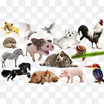 ����ϼ�-������