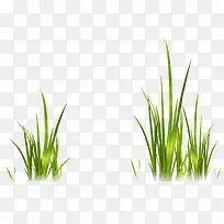 嫩草-空若网 嫩草-空若网