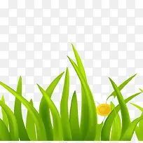 �̲�ͼ��-������