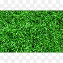 �۲ݵر���-������