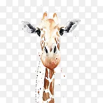 ��ٿ�ͨ�ֻ泤��¹װ��-������