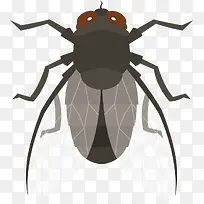 ��ɫ��Ӭʸ���걾-������