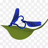 昆虫蜻蜓剪贴画-龙蝇-空若网 昆虫蜻蜓剪贴画-龙蝇-空若网