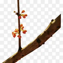 分叉树枝桂花-空若网 分叉树枝桂花-空若网