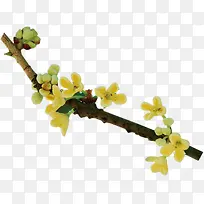 �𻨵�����֦-������