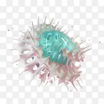 ¹ÇÍ·ÈÆ×Ų£Á§Öé-¿ÕÈôÍø ¹ÇÍ·ÈÆ×Ų£Á§Öé-¿ÕÈôÍø